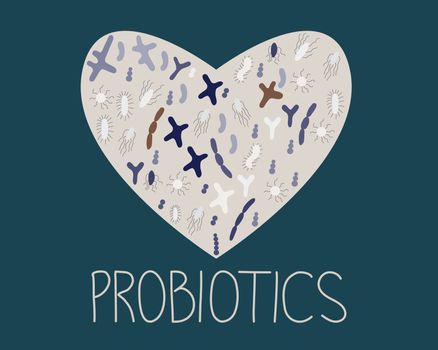 Heart shape with probiotics for good microorganisms concept. Probiotics note. Vector illustration in flat cartoon style. Propionibacterium, lactobacillus, lactococcus, bifidobacterium.