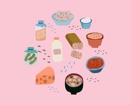 Gut healthy products for probiotics health benefits concept. Vector illustration in flat cartoon style. Kefir, Sauerkraut, Tempeh, Kombucha, Kimchi, Yogurt and Miso