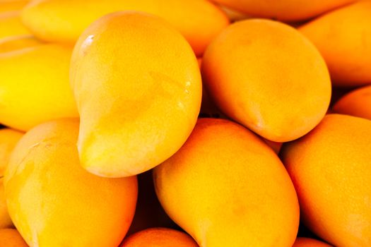 Close-up of Fresh Yellow Mangoes tropical fruits background or wallpaper. Fresh ripe exotic mango stack.