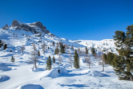 Dolomities Dolomiti Italy in wintertime beautiful alps winter mountains fir and pine trees on freeride slope Cortina d'Ampezzo Cinque torri mountain peaks famous landscape skiing resort area