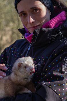 Hand with ferret, ferret in my hand, walk in forest