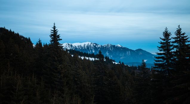 Panoramic view of Mount Ciucas on winter, part of Romanian Carpathian Range