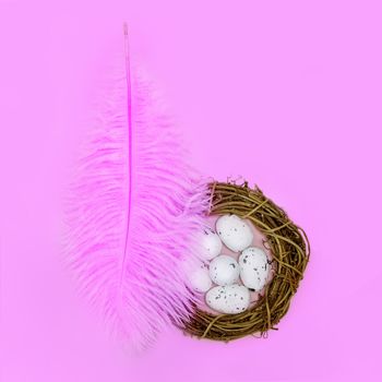 Pink feather shelters a nest with eggs on a pink background Easter concept