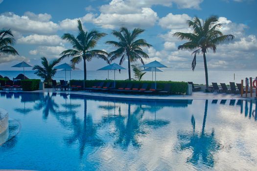 Palm trees reflected in pool at dawn