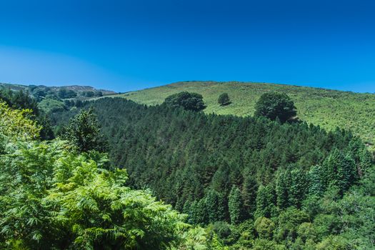 The Rhune mountain in the Pyrenees-Atlantique in France