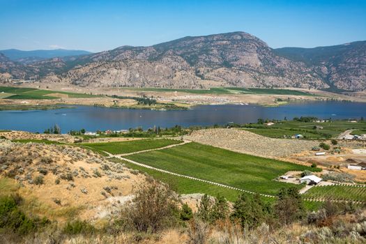 Okanagan valley panoramic view with orchard farm fields. Residential houses in Okanagan valley built on Osoyoos lake shore with mountains on the background