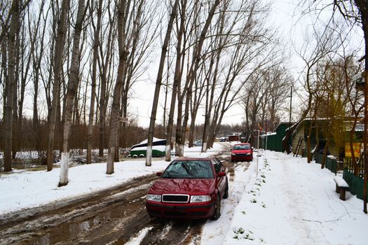 High water winter on the Borcea arm at the beginning of March.
Roads for cars and forests were flooded by water.