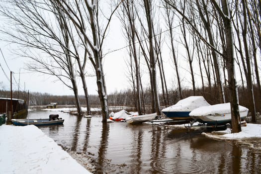 High water winter on the Borcea arm at the beginning of March.
Roads for cars and forests were flooded by water.