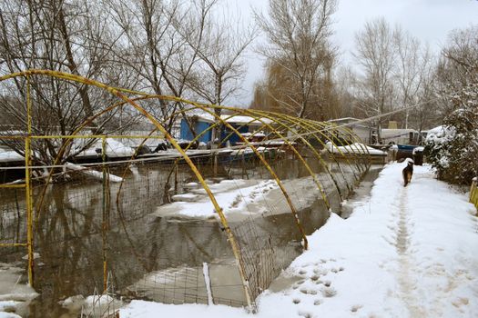 High water winter on the Borcea arm at the end of winter.
Houses, terraces, fences, gardens on the banks were flooded by the great waters.