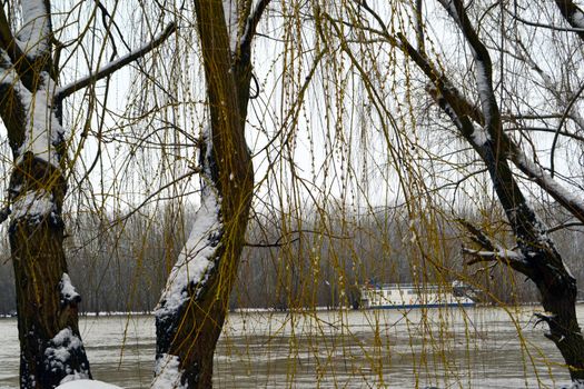 Winter with ice-cold water on the Borcea arm at the end of winter.
The willow forests on the banks of the river froze.
