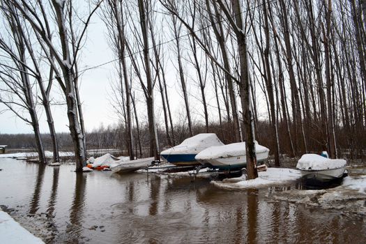 High water winter on the Borcea arm at the beginning of March.
Roads for cars and forests were flooded by water.