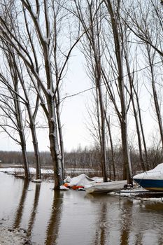 High water winter on the Borcea arm at the beginning of March.
Roads for cars and forests were flooded by water.