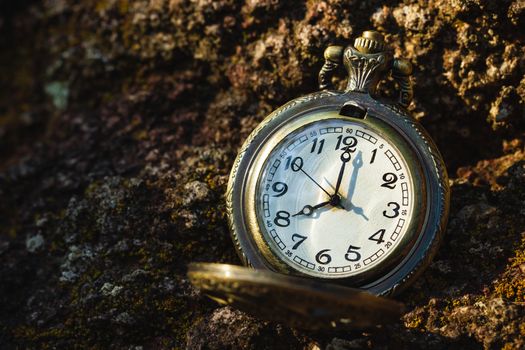 Vintage old pocket watch placed on the rock in forest and morning sunlight. At 8 o’clock. Closeup and copy space.