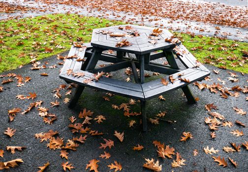 Fall season in a park. Oak foliage fallen on picnic table in a park