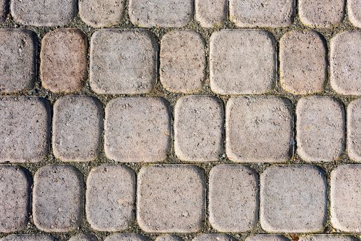 Detailed texture of paved pathway built with small blocks