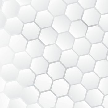 Geometric Hexagon White Modern Background