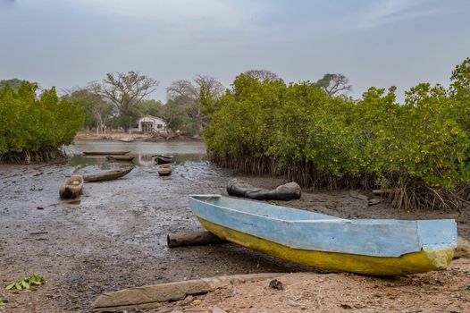Mangrove area with traditional boats near Lamin, Gambia