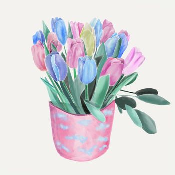 Watercolor Floral Bouquet with tulips illustration. Bouquets of spring pink and blue flowers in pot. 