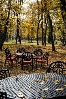Table and chairs in autumnal park of Chateau Mukhrani close to Tbilisi, travel in Georgia