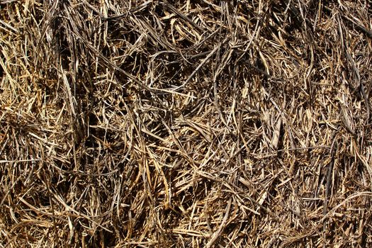 The picture shows straw on a sunny day