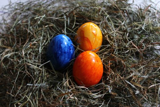 The picture shows colored easter eggs in hay