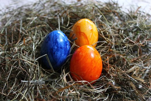 The picture shows colored easter eggs in hay