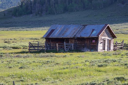 Old abandon barn on lush green field. High quality photo
