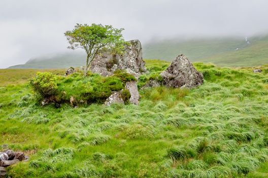 A scene from the Delphi Valley, Mayo, Ireland