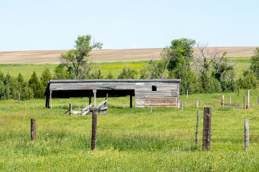 A close up old abandon animal shed behind fence in a green field. High quality photo