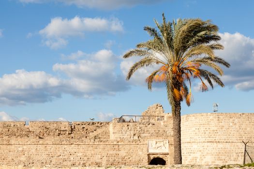 A palm tree is pictured in front of Othello Castle.  The castle is a 14th century castle in Famagusta in the Turkish Republic of Northern Cyprus.