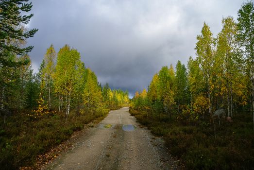 Dirt road to the top of Vottovaara mountain surrounded by autumn forest. Karelia, Russia