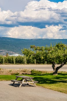 Recreation area with apple tree at the road with beautiful overview of mountains