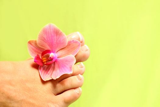 close up of body parts of a woman at wellness center with green background