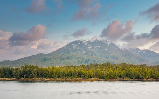 The evergreen covered shore of an Alaskan waterway with snow capped mountains in distance