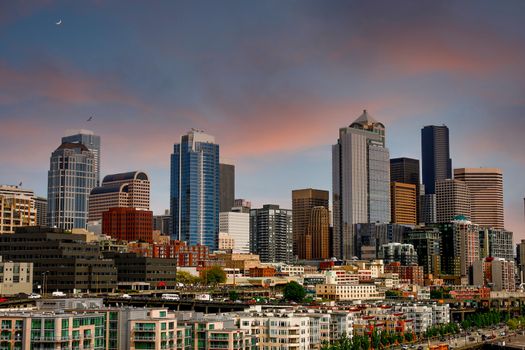 Skyline of Seattle Under Nice Skies Beyond Condominiums