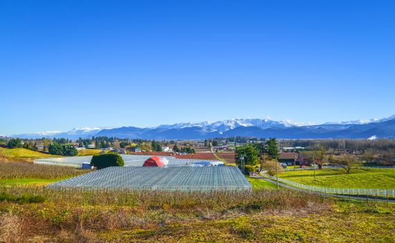 Winter season on fruit farm in a valley. View on a valley with mountain ridge on blue sky background