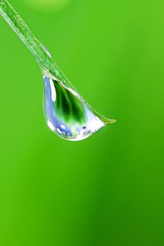 Fresh grass blade with big water dew drop macro close up freshness nature concept