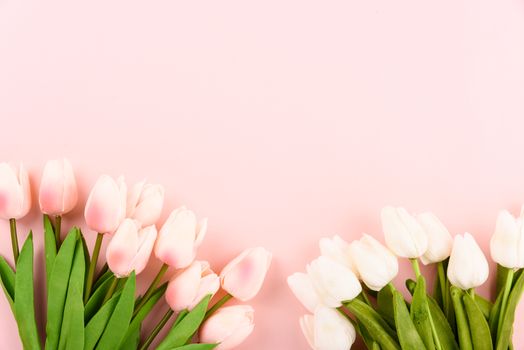 Happy Women's Day, Mother's Day concept. top view flat lay Tulip flower on pink background, copy space for your text