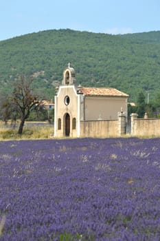 walk in the luberon, saint michel de l'Observatoire and Banon in France