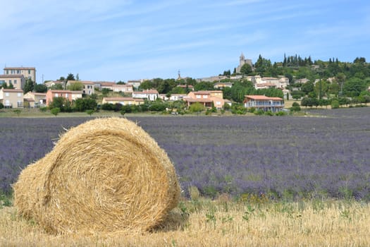 walk in the luberon, saint michel de l'Observatoire and Banon in France