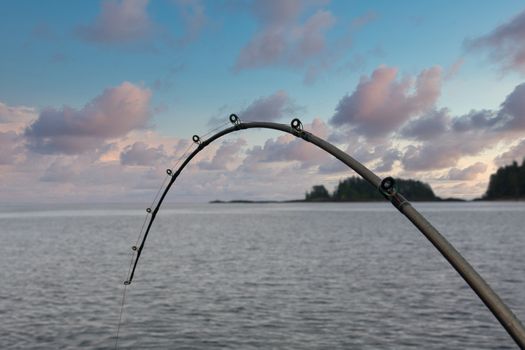 A fishing pole bent with a fish on the line