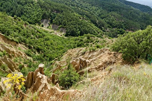 Fragment of the famous Stob’s Pyramids with unusual shape red and yellow rock formations, green bushes and trees around, west share of Rila mountain, Kyustendil region, Bulgaria, Europe