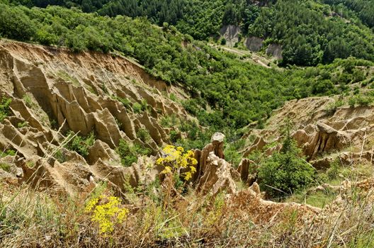 Fragment of the famous Stob’s Pyramids with unusual shape red and yellow rock formations, green bushes and trees around, west share of Rila mountain, Kyustendil region, Bulgaria, Europe