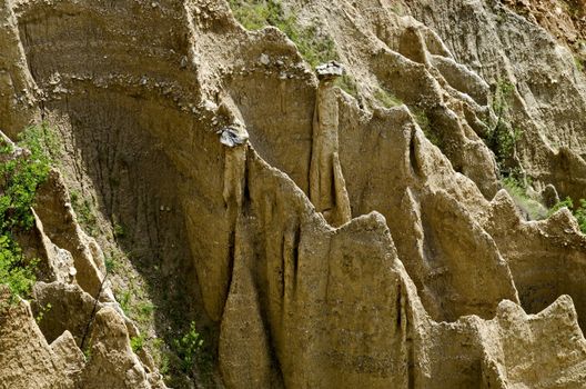 At close of the famous Stob’s Pyramids with unusual shape red and yellow rock formations, green bushes and trees around, west share of Rila mountain, Kyustendil region, Bulgaria, Europe