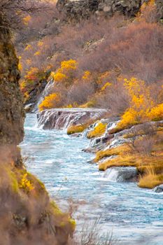 Hraunfossar series of waterfalls barnafoss turquoise groundwater collecting into turquoise plunge pool between yellow and orange bushes