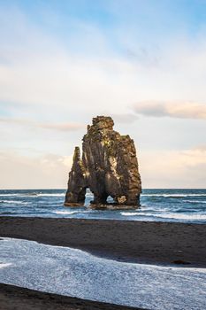 Hvitserkur rock formation in Iceland basalt formation standing in front of a black beach