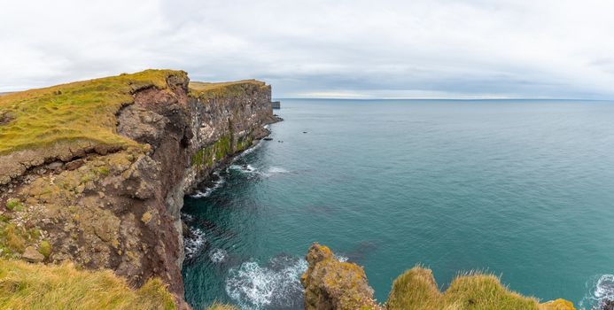 Latrabjarg in Iceland cliff coast an nesting place of millions of puffins
