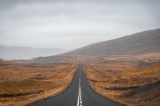 Long straight road in Iceland during grey autumn day close to Eastern Fjords