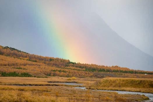 Northern Iceland rainbow behind colorful forest trees during the early autumn