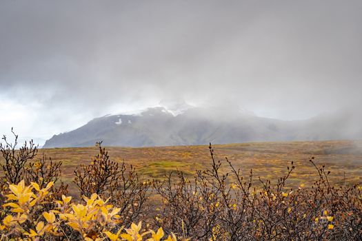 Vatnajoekull glacier in Iceland autumn colored landscape in front of icy mountain tops covered in clouds